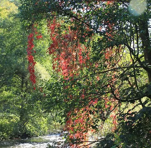 Hotel Eifelhotel Malberg